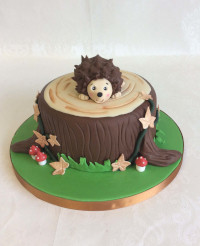Cake Decoration Courses
