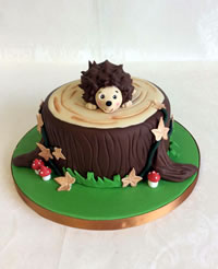 Cake Decoration Courses