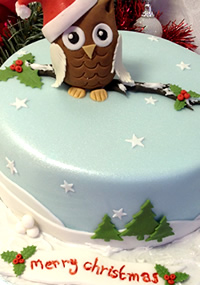 Cake Decorating Classes  Reading  Berkshire  Oxfordshire