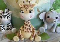 Cake decorating classes