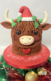 Cake decorating classes