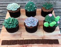 Cake decorating classes