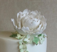 Cake decorating classes