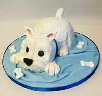 Cake decorating classes