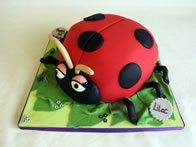 Children's birthday cake by Catherine Scott