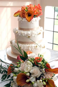 Contemporary wedding cake by Catherine Scott