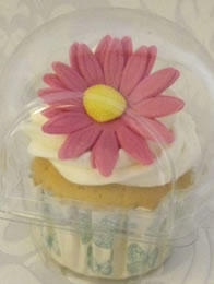 Daisy Cup Cake