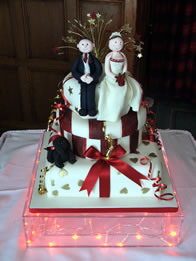 Novelty wedding cake by Catherine Scott